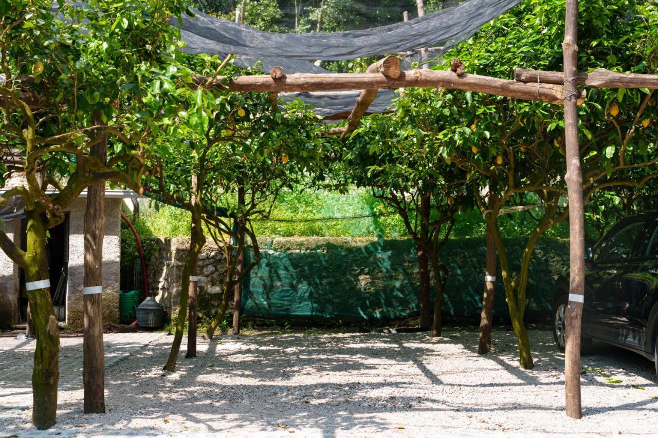 마이오리 몬타녤라 릴랙스 B&B 외부 사진